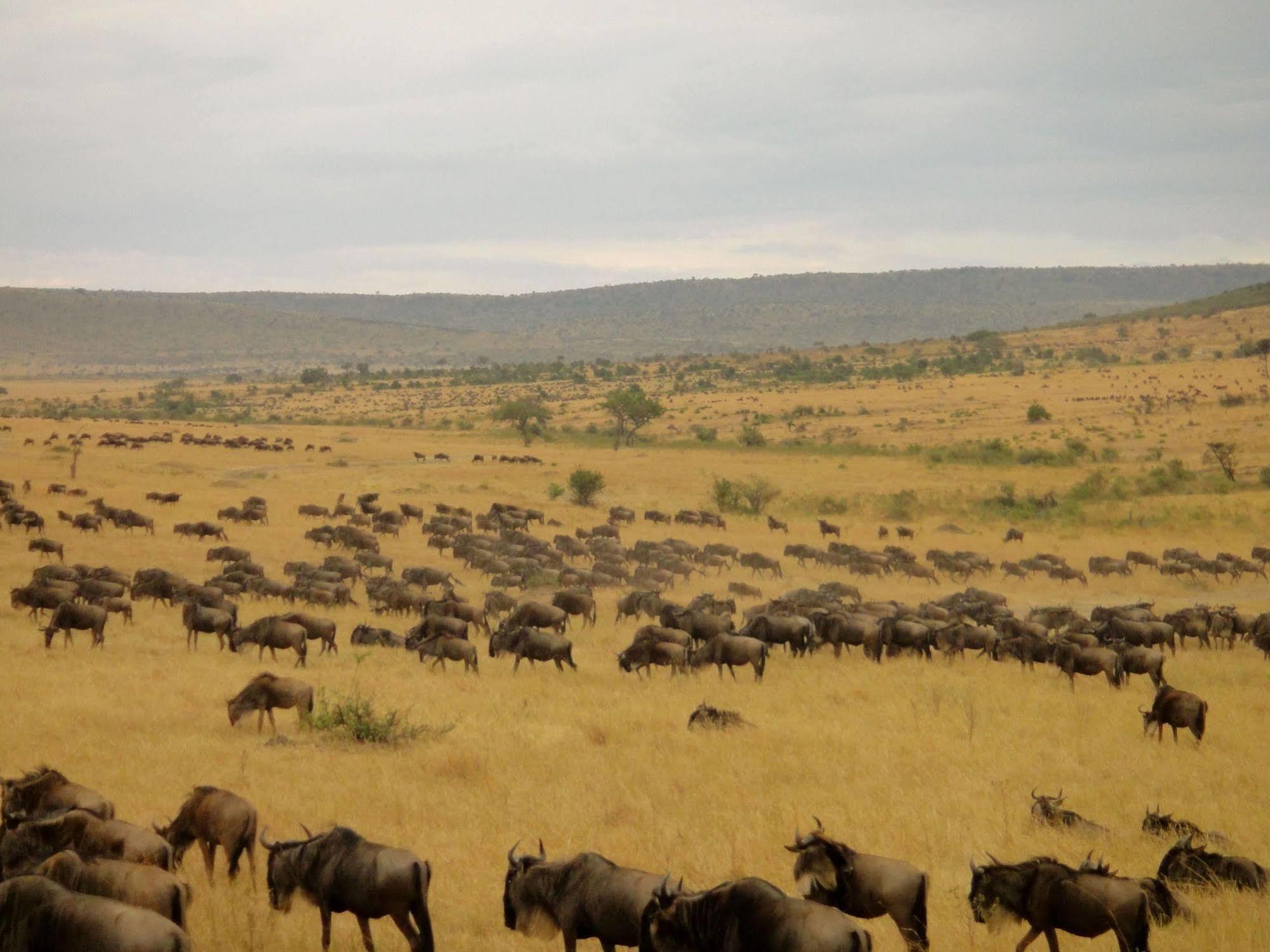 Aa Lodge Masai Mara Maasai Mara Exterior photo